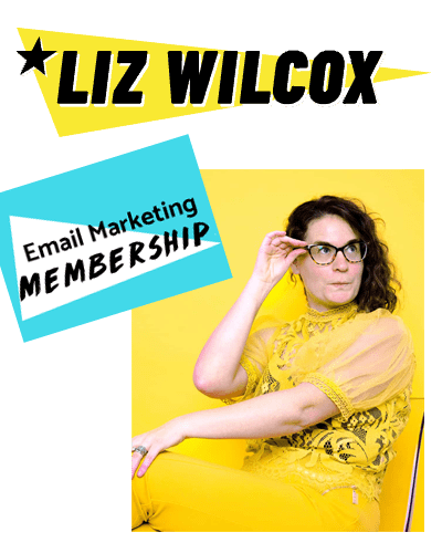 Liz Wilcox Email Marketing