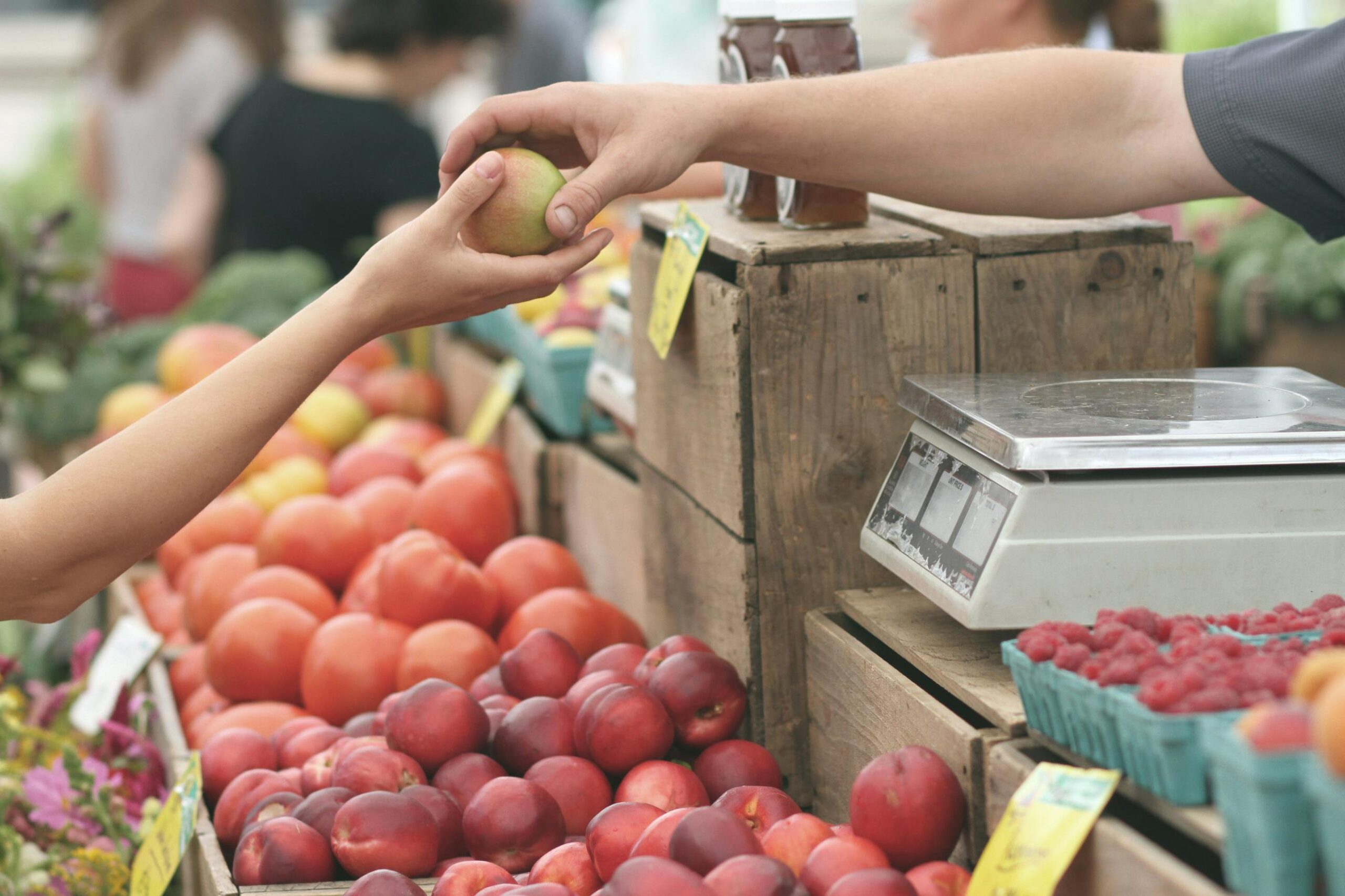 Ways To Save On Groceries