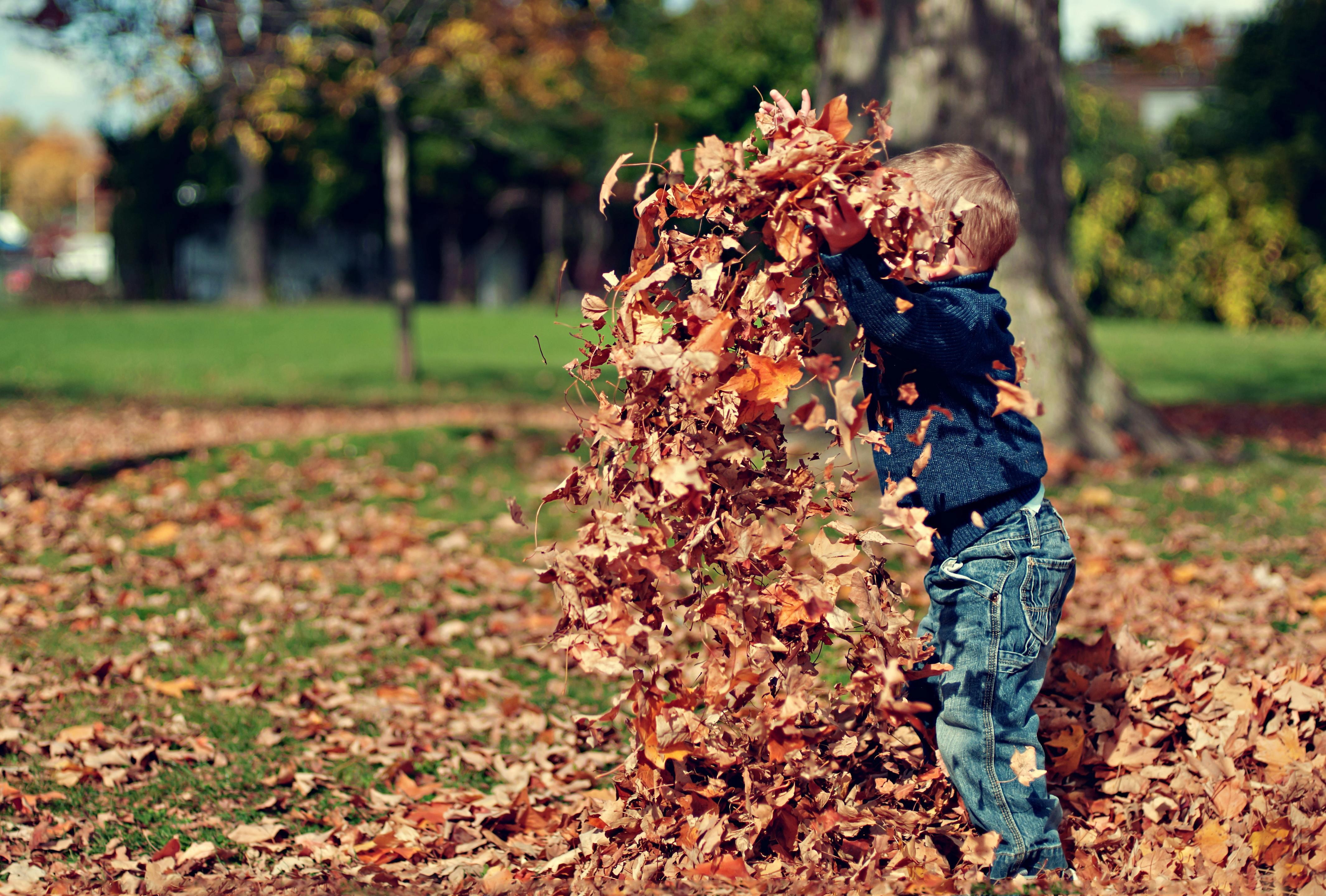 Budget-Friendly Fall Activities for Everyone